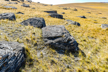 Similar image 22174474