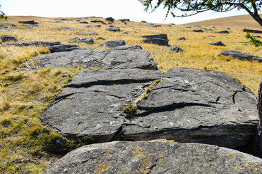 Similar image 22174475