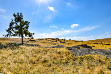 Similar image 22174476