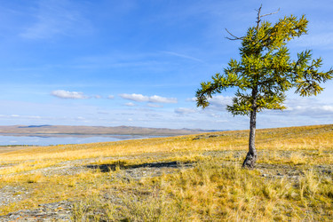 Similar image 22174477