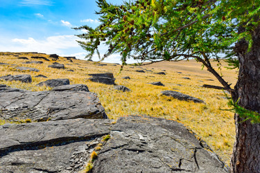 Similar image 22174478