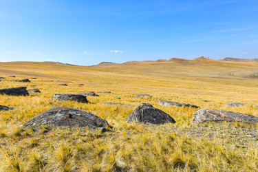 Similar image 22174479