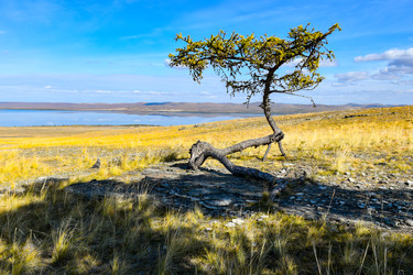 Similar image 22174480