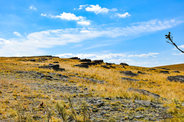 Similar image 22174481