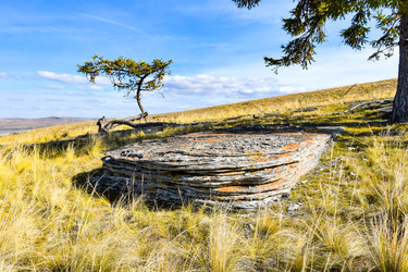 Similar image 22174483