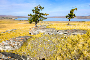 Similar image 22174485