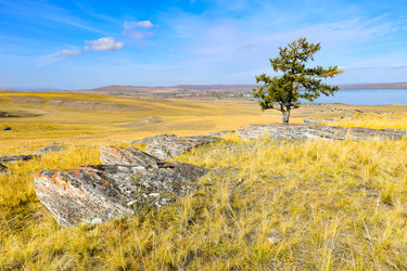 Similar image 22174486