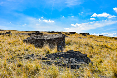 Similar image 22174487