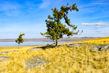 Similar image 22174488