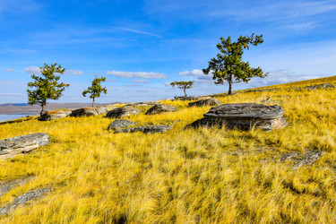 Similar image 22174492