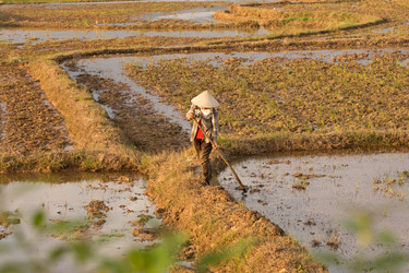 Similar image 22181429