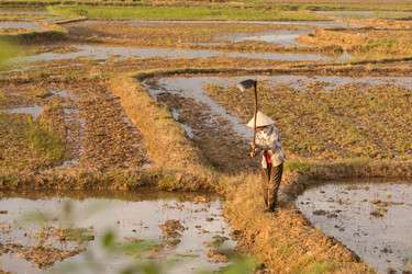 Similar image 22181430