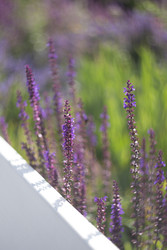 Similar image 22174276