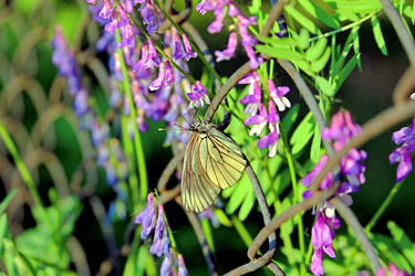 Similar image 22176902