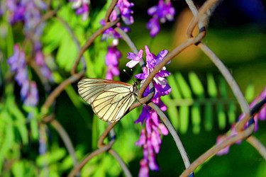 Similar image 22176903