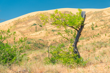 Similar image 22177810