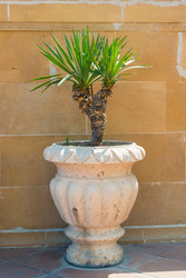 Similar image 22177820