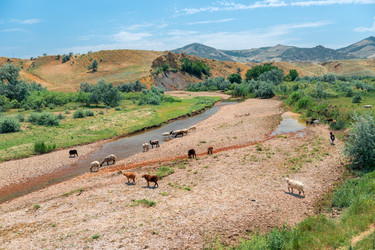 Similar image 22177823