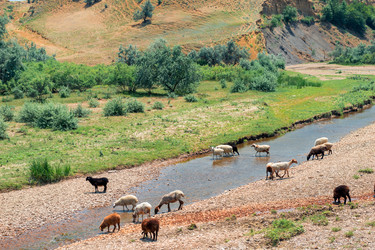 Similar image 22177825