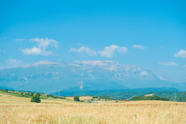 Similar image 22178039