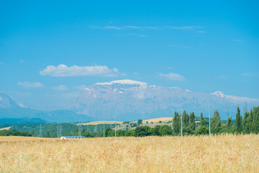 Similar image 22178043