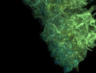 Similar image 22177320