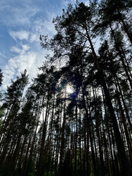 Similar image 22186496