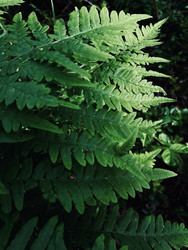 Similar image 22186498