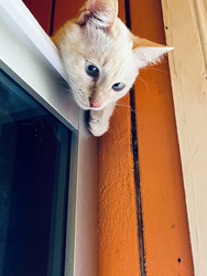 Similar image 22186500