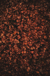 Similar image 22174279