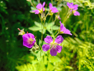 Similar image 22179259