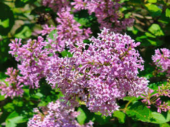 Similar image 22179260