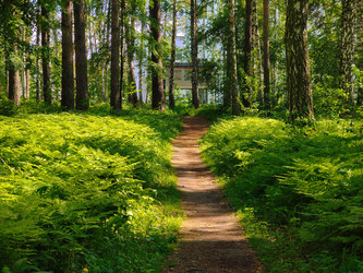 Similar image 22179261