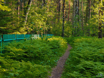 Similar image 22179262