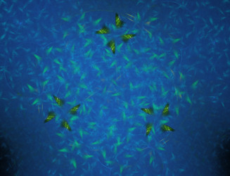 Similar image 22176690