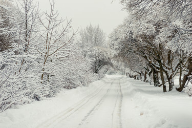 Similar image 22178063