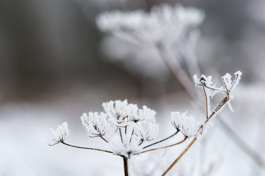 Similar image 22178065