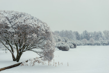 Similar image 22178069