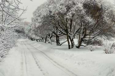 Similar image 22178070