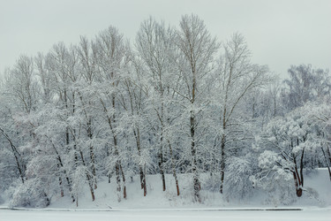 Similar image 22178076