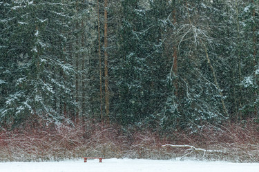 Similar image 22178077