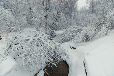 Similar image 22178078