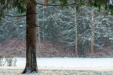 Similar image 22178079