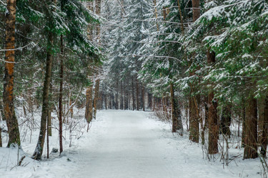 Similar image 22178080