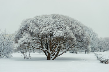 Similar image 22178082