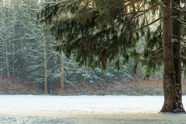 Similar image 22178083