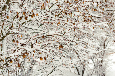 Similar image 22178085