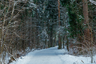 Similar image 22178087