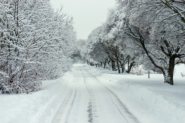 Similar image 22178090