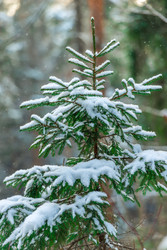 Similar image 22178091